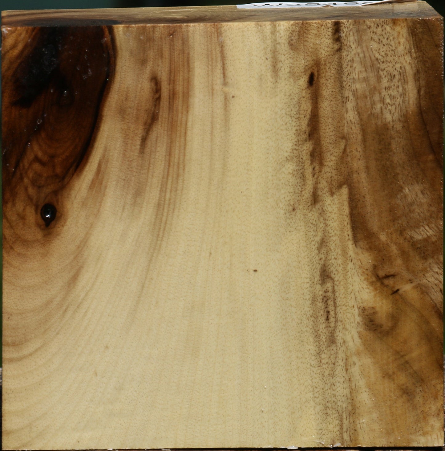 Figured Myrtle Bowl Blank