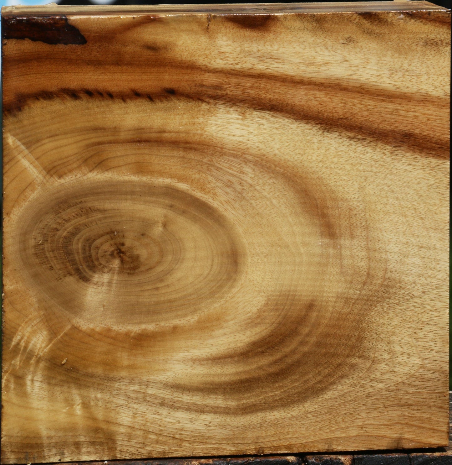 Figured Myrtle Bowl Blank