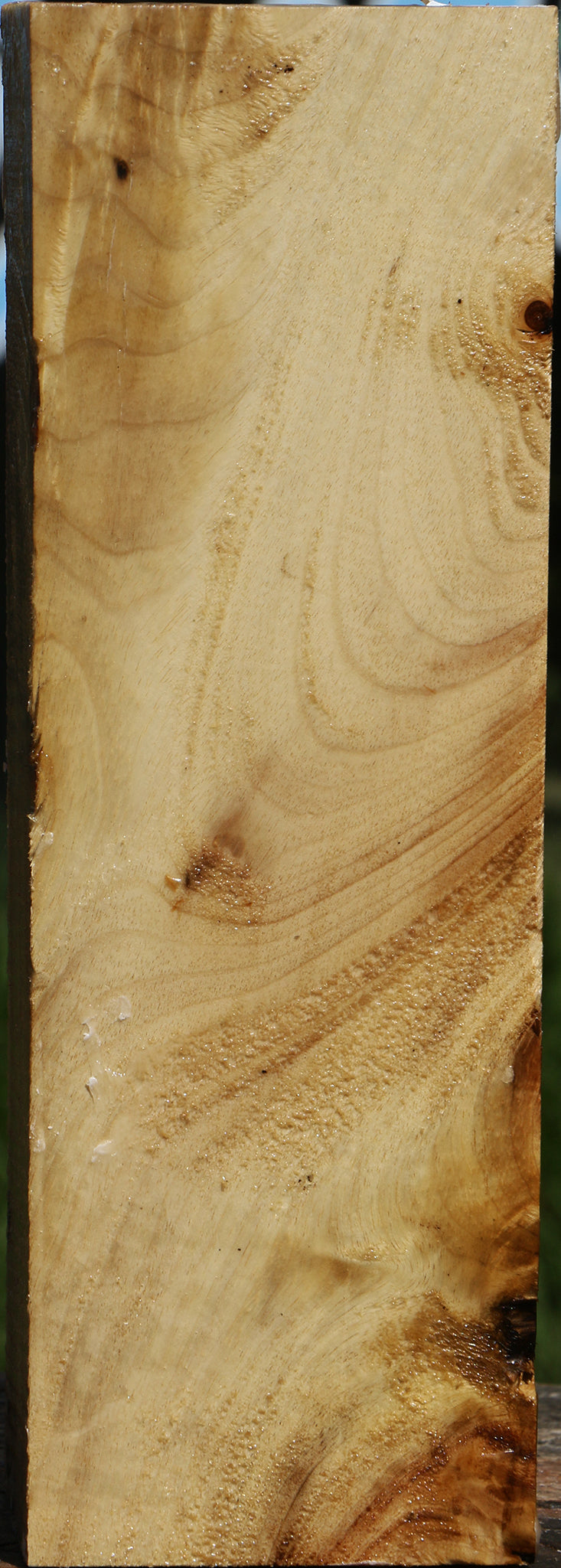 Figured Myrtle Vessel Blank