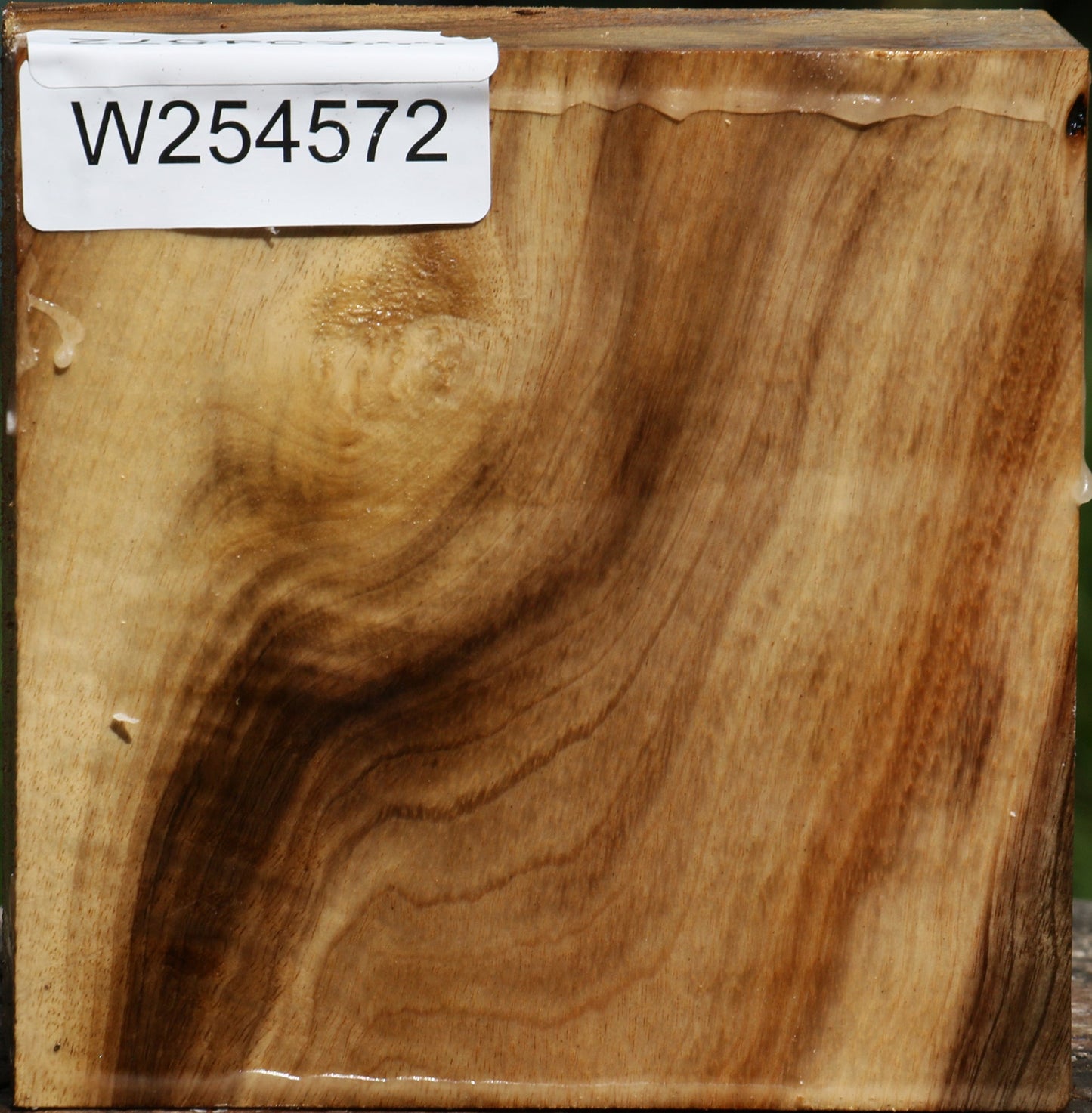 Figured Myrtle Bowl Blank