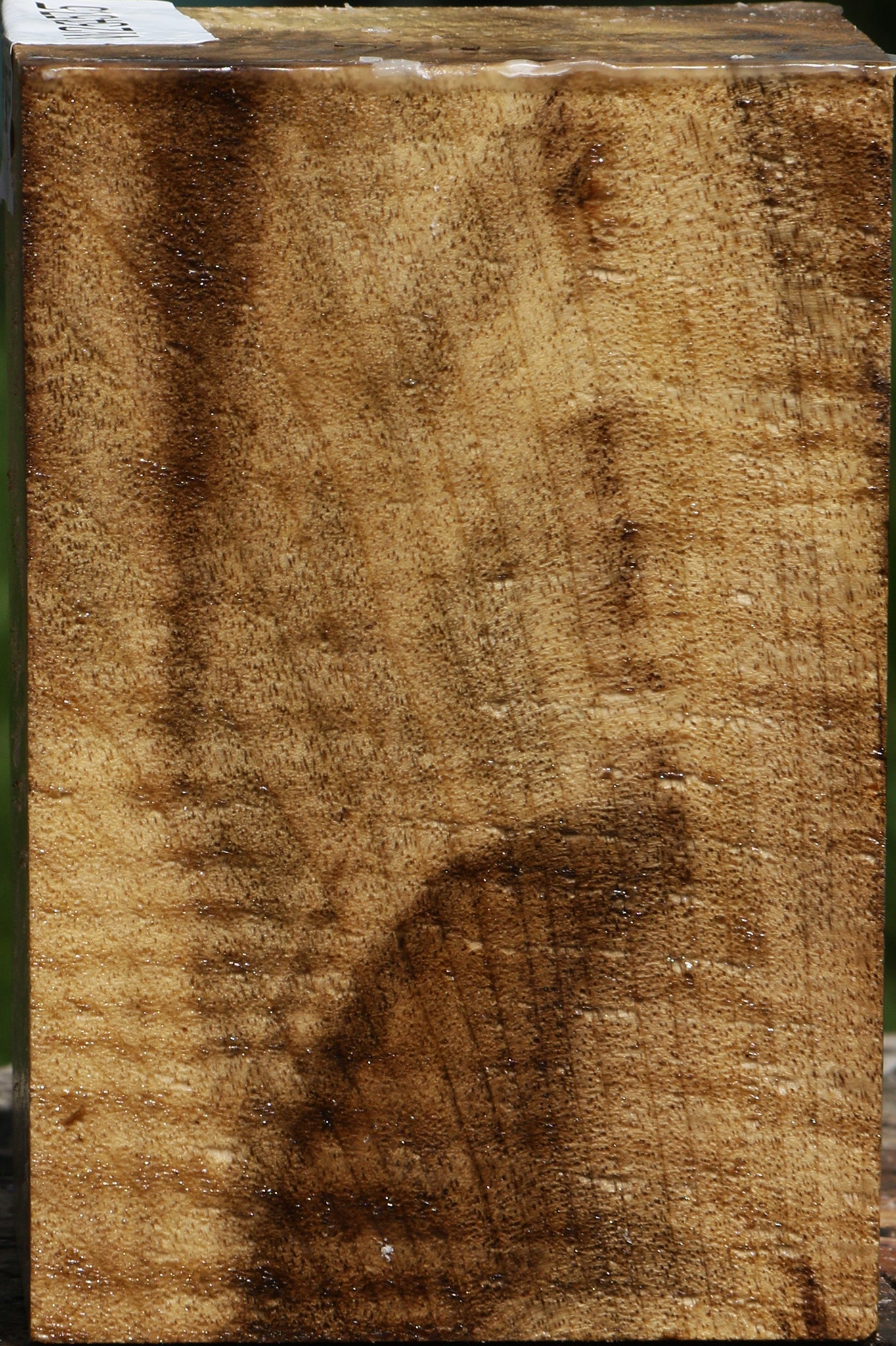 Extra Fancy Myrtle Turning Square