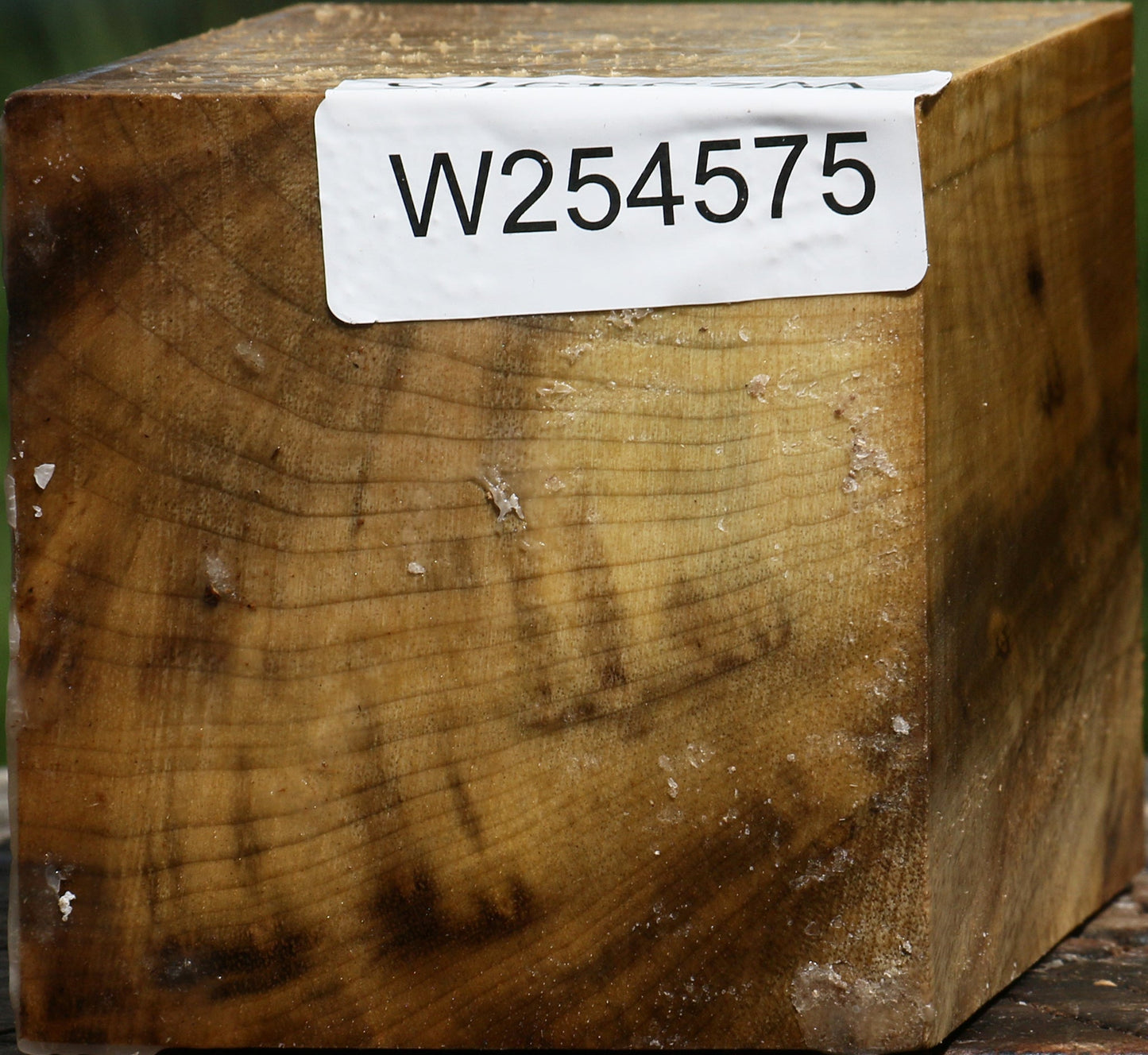 Extra Fancy Myrtle Turning Square