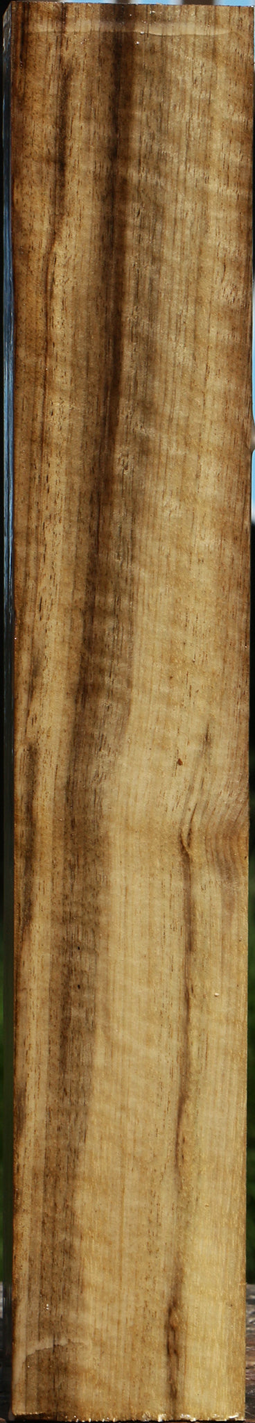Extra Fancy Myrtle Turning Square