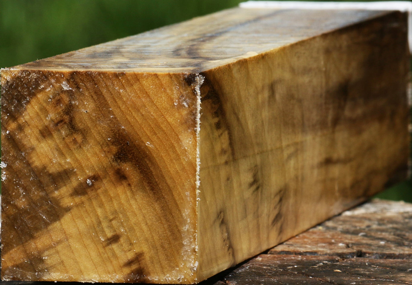 Extra Fancy Myrtle Turning Square