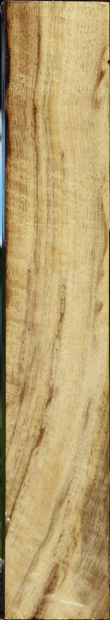 Extra Fancy Myrtle Turning Square