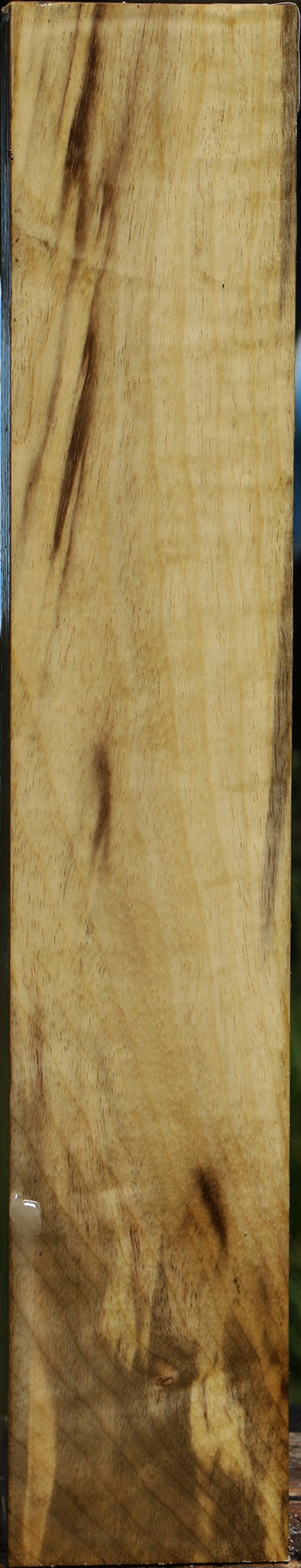 Extra Fancy Myrtle Turning Square