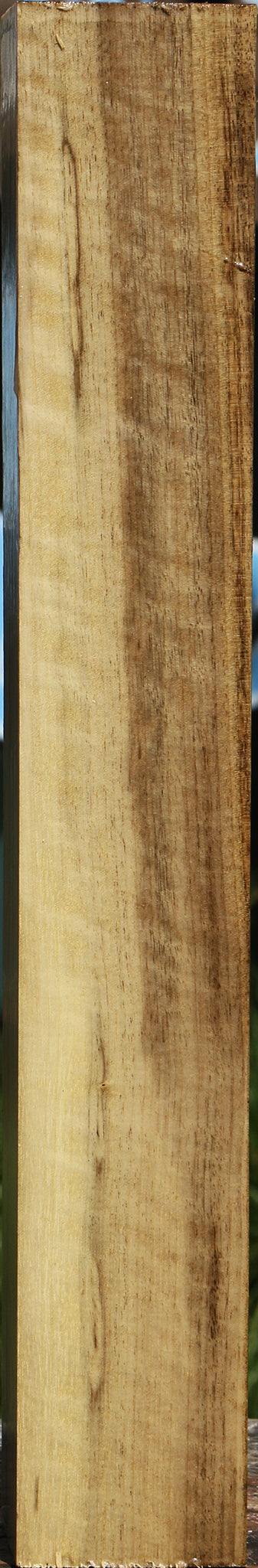 Extra Fancy Myrtle Turning Square