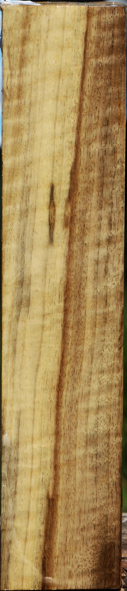 Extra Fancy Myrtle Turning Square