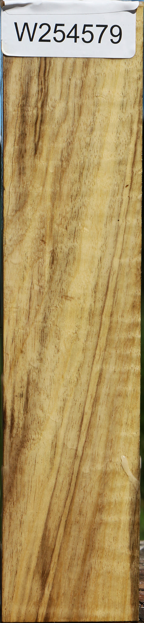 Extra Fancy Myrtle Turning Square