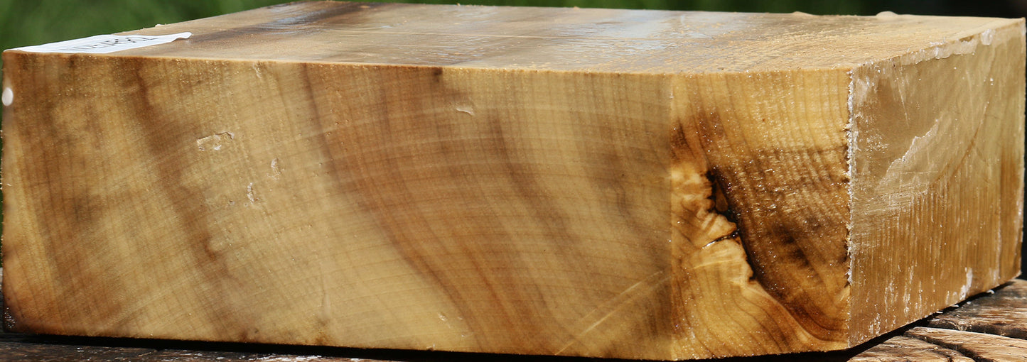 Figured Myrtle Bowl Blank
