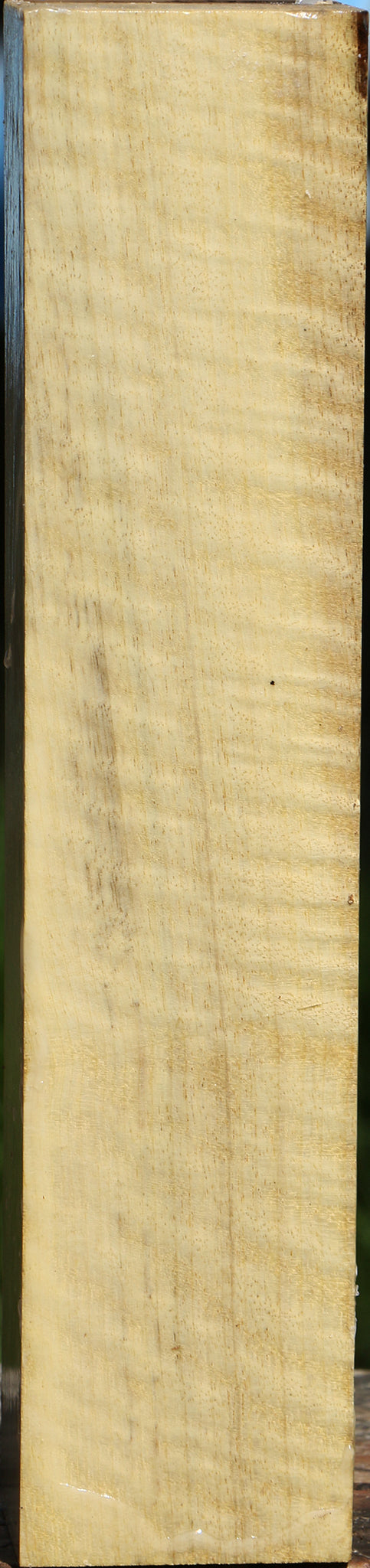 Extra Fancy Myrtle Turning Square