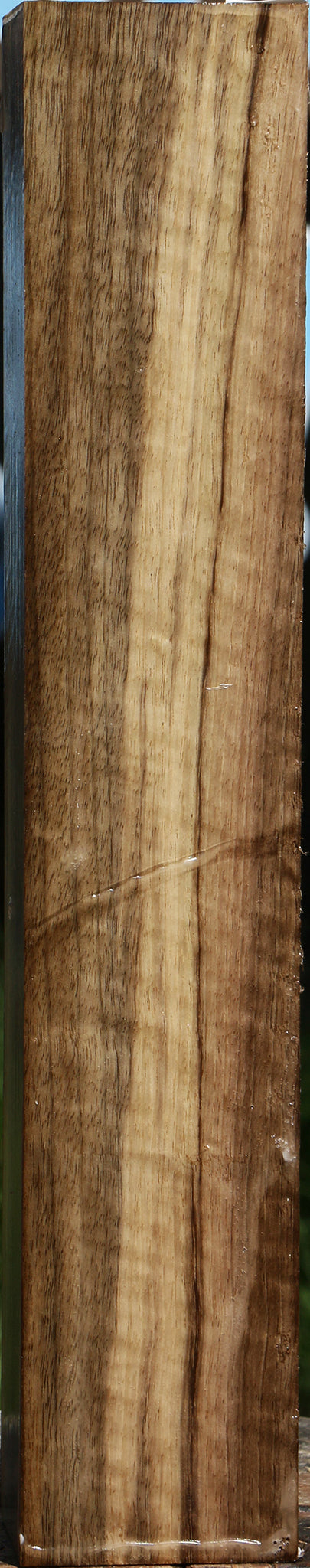 Figured Myrtle Turning Square