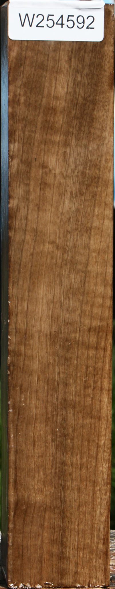Figured Myrtle Turning Square