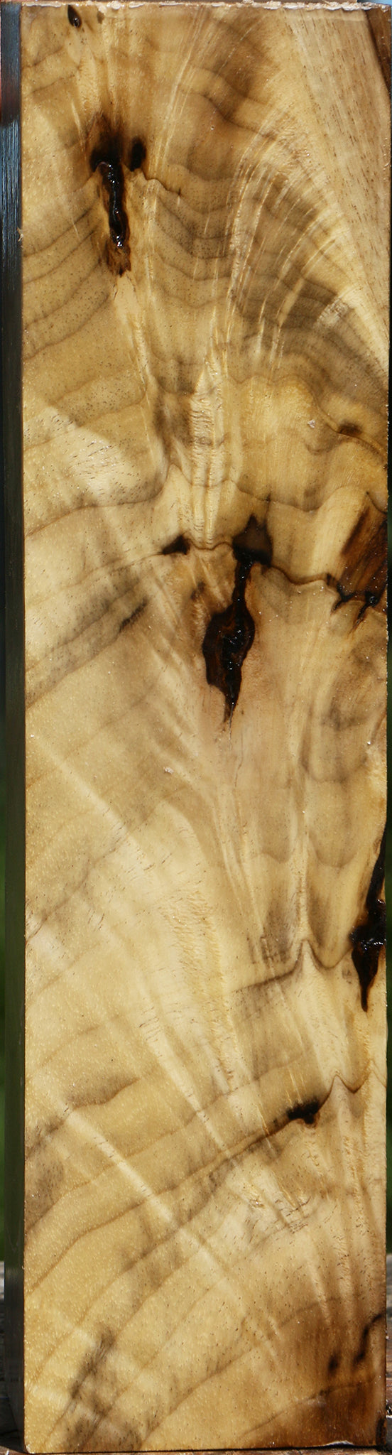 Extra Fancy Crotchwood Myrtle Turning Square