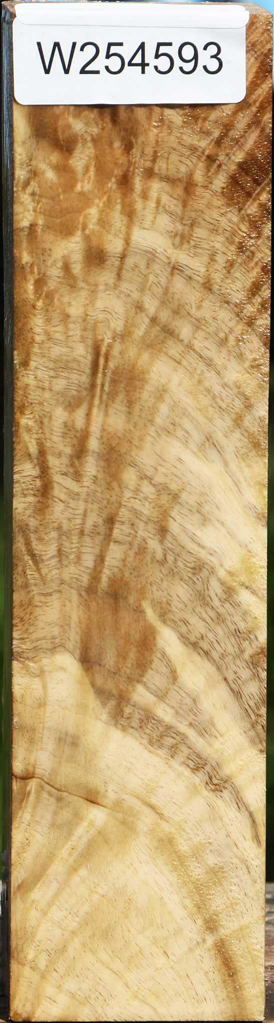 Extra Fancy Crotchwood Myrtle Turning Square