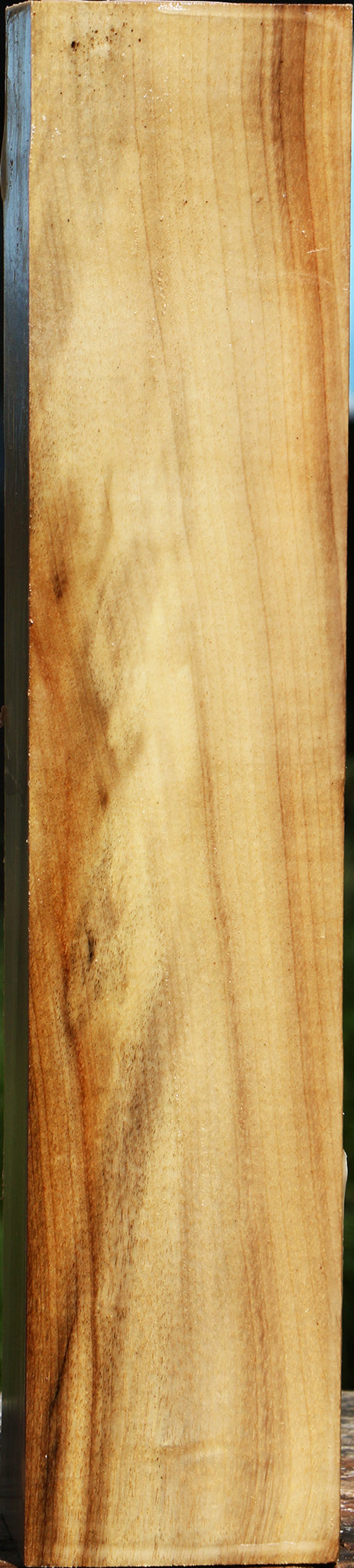 Myrtle Turning Square