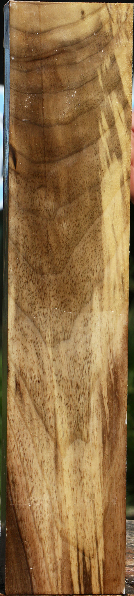 Figured Myrtle Turning Square