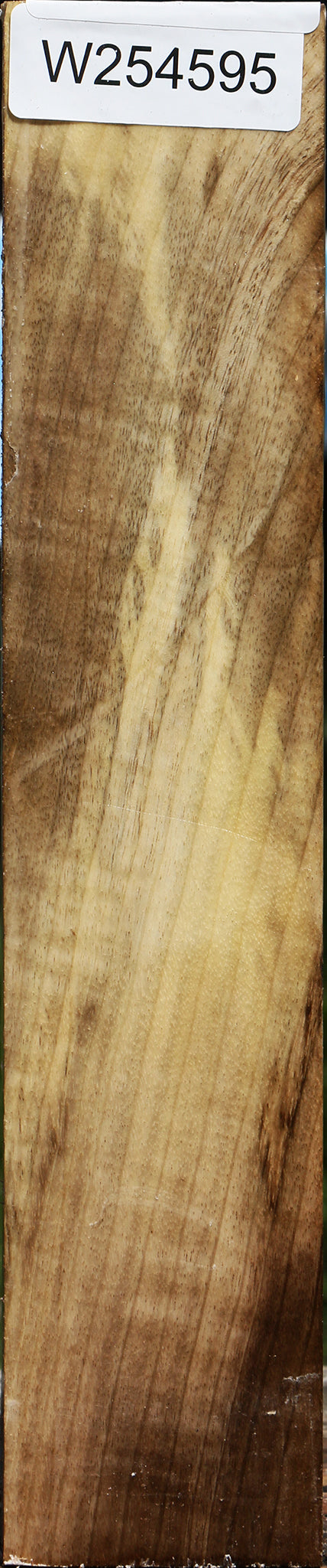 Figured Myrtle Turning Square