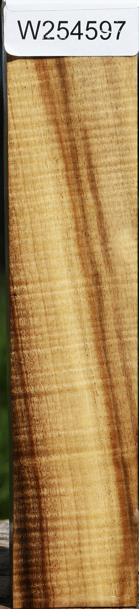 Exhibition Myrtle Turning Square