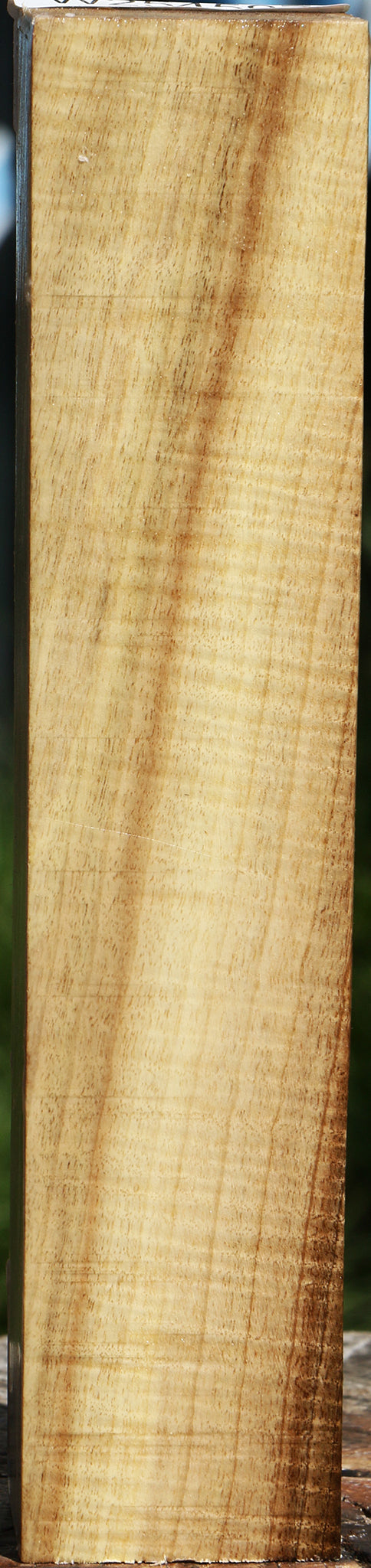 Exhibition Myrtle Turning Square