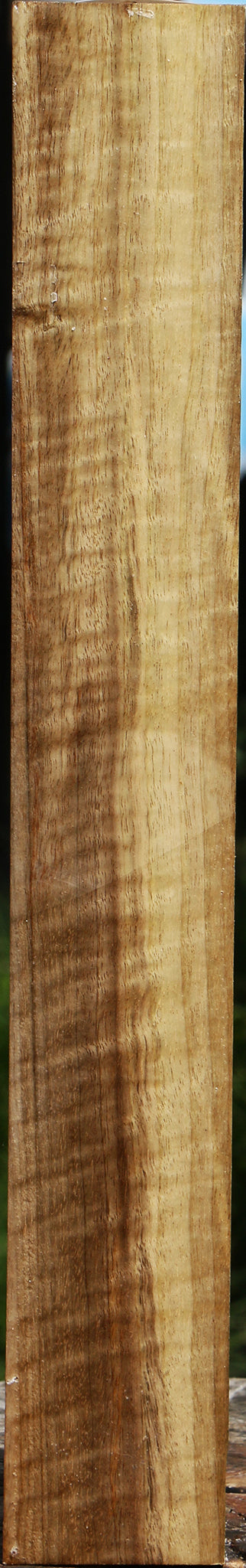 Extra Fancy Myrtle Turning Square