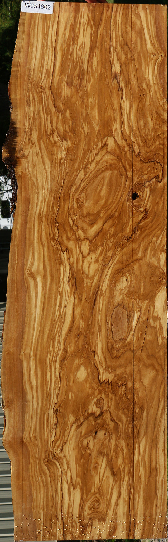 Extra Fancy Italian Olive Live Edge Lumber