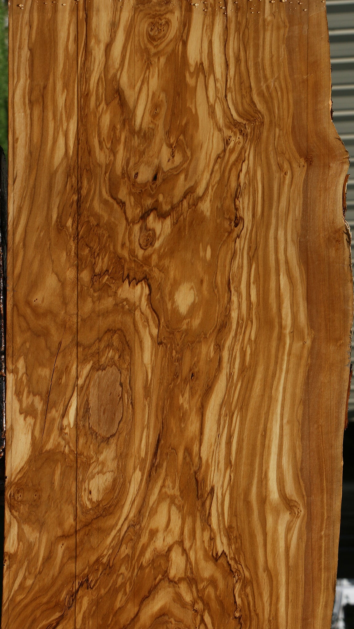 Extra Fancy Italian Olive Live Edge Lumber