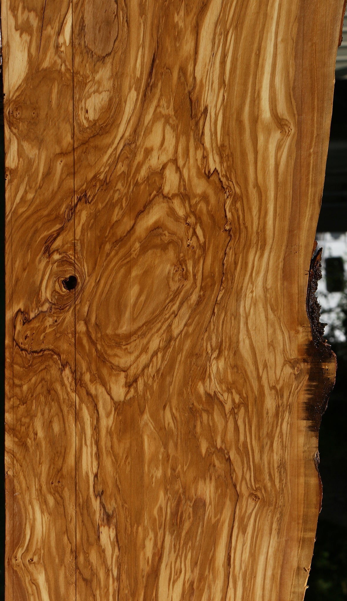 Extra Fancy Italian Olive Live Edge Lumber