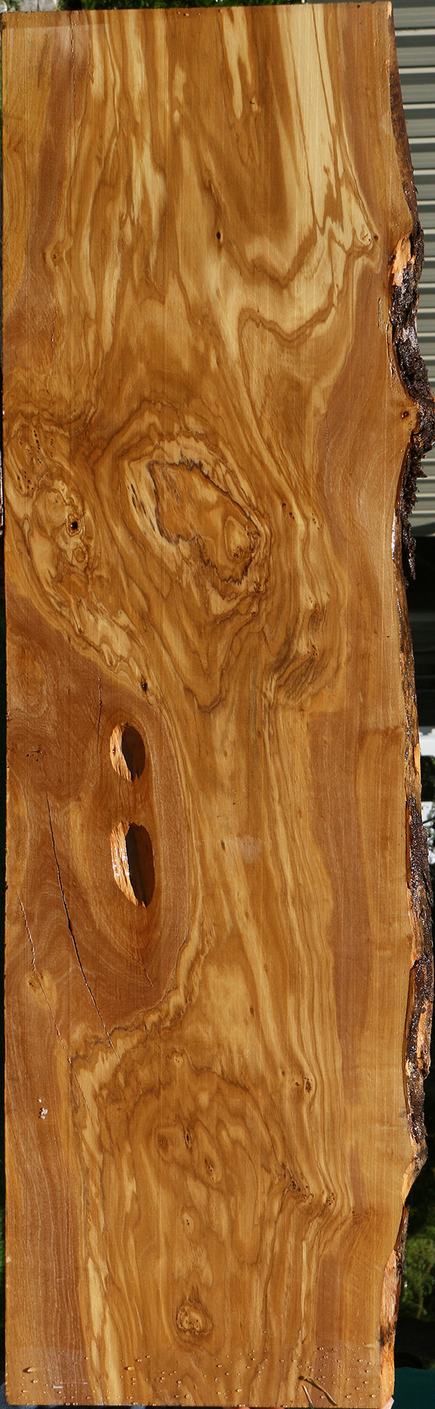 Extra Fancy Italian Olive Live Edge Lumber