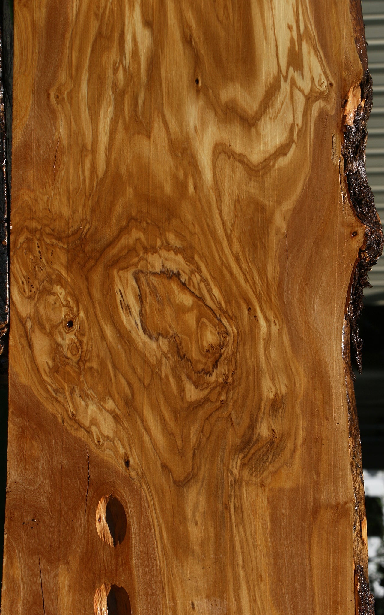 Extra Fancy Italian Olive Live Edge Lumber