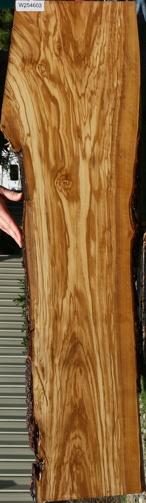 Extra Fancy Italian Olive Live Edge Lumber