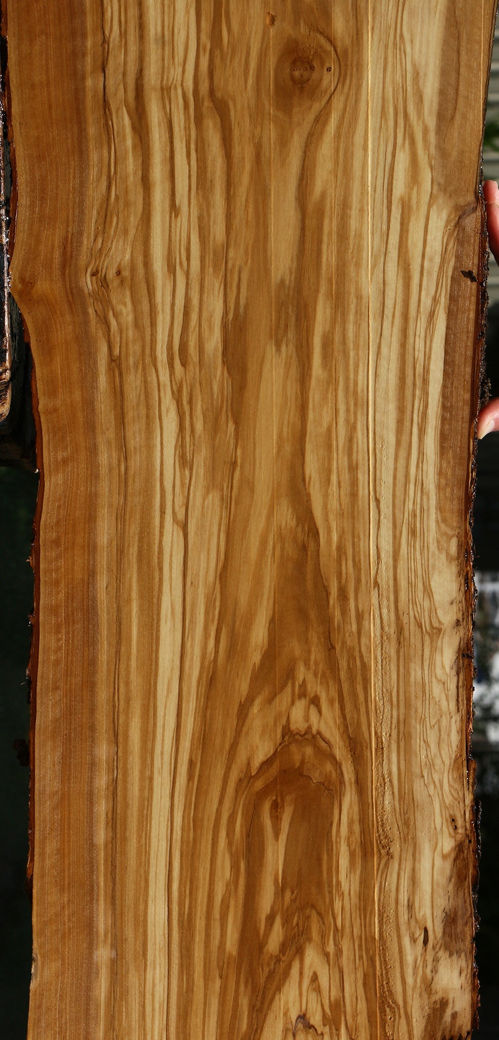 Extra Fancy Italian Olive Live Edge Lumber