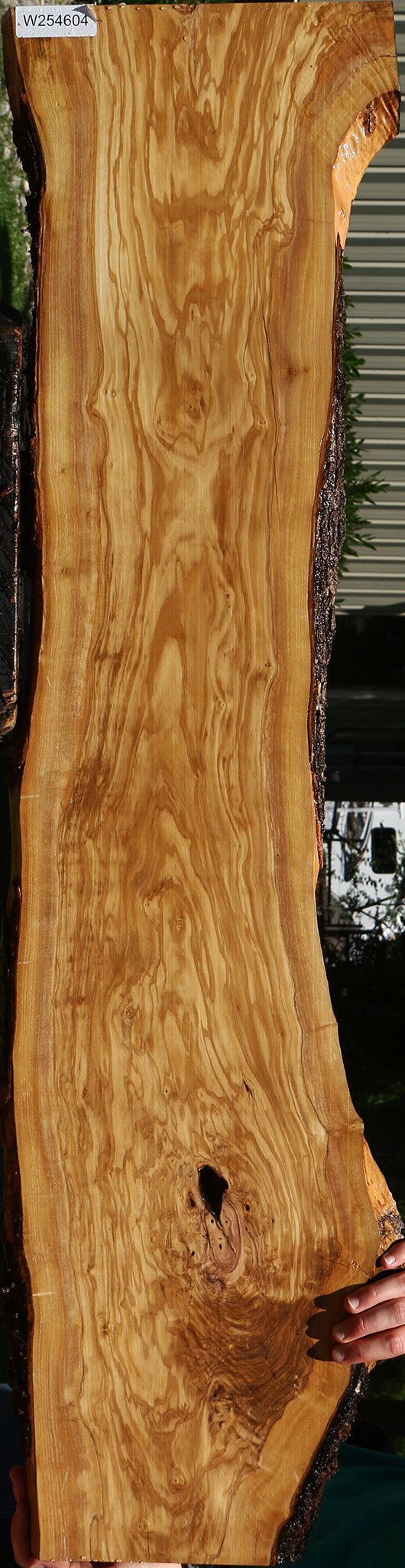 Extra Fancy Rustic Italian Olive Live Edge Lumber