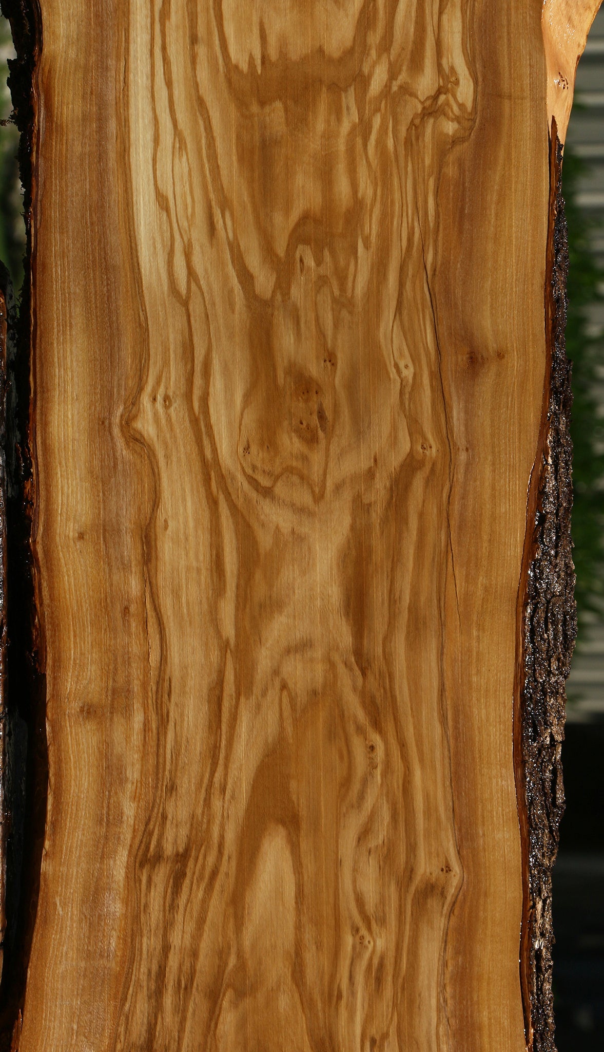 Extra Fancy Rustic Italian Olive Live Edge Lumber