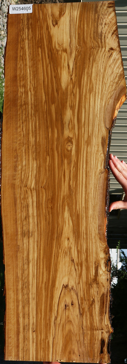 Extra Fancy Italian Olive Live Edge Lumber