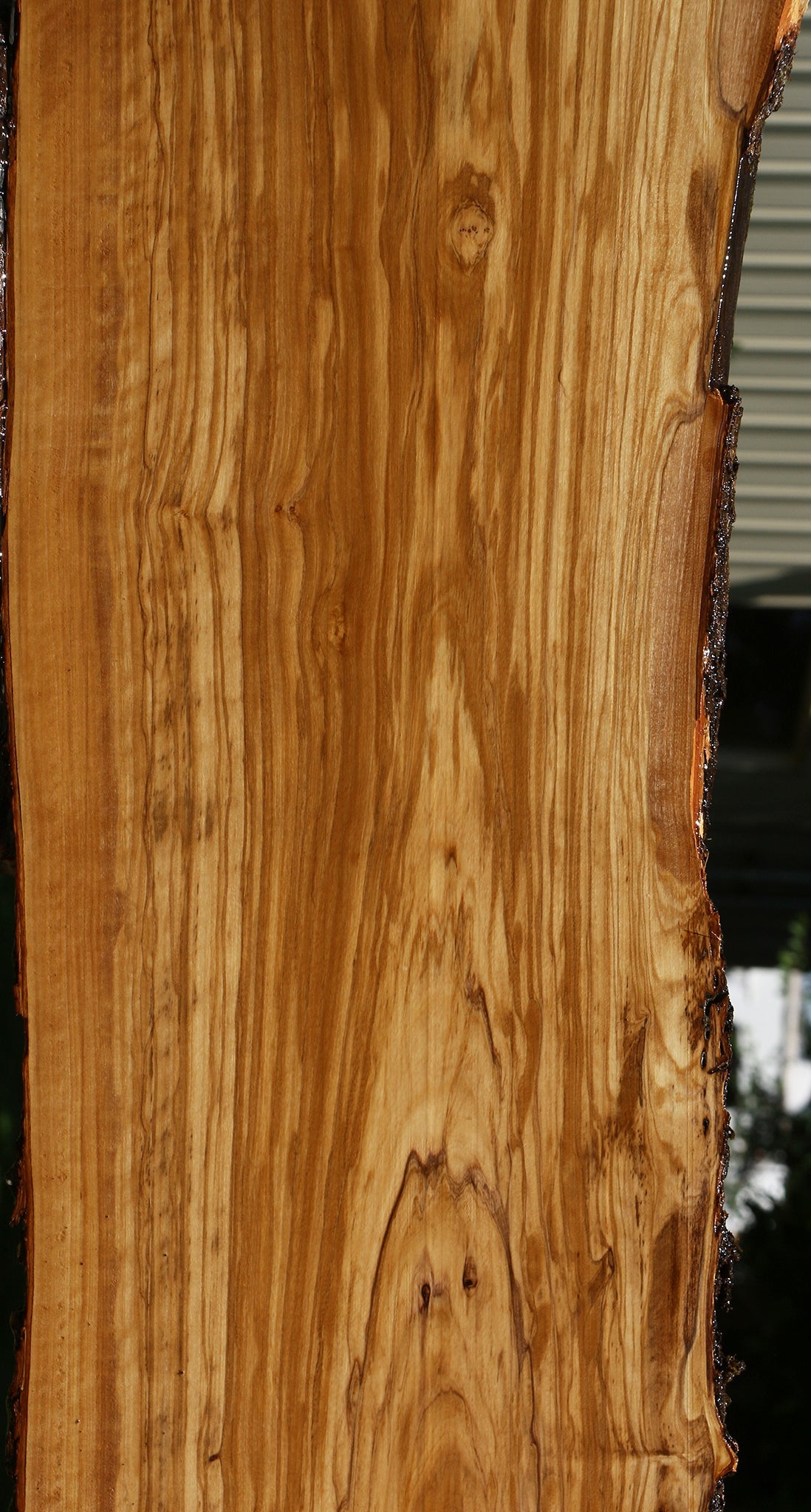 Extra Fancy Italian Olive Live Edge Lumber