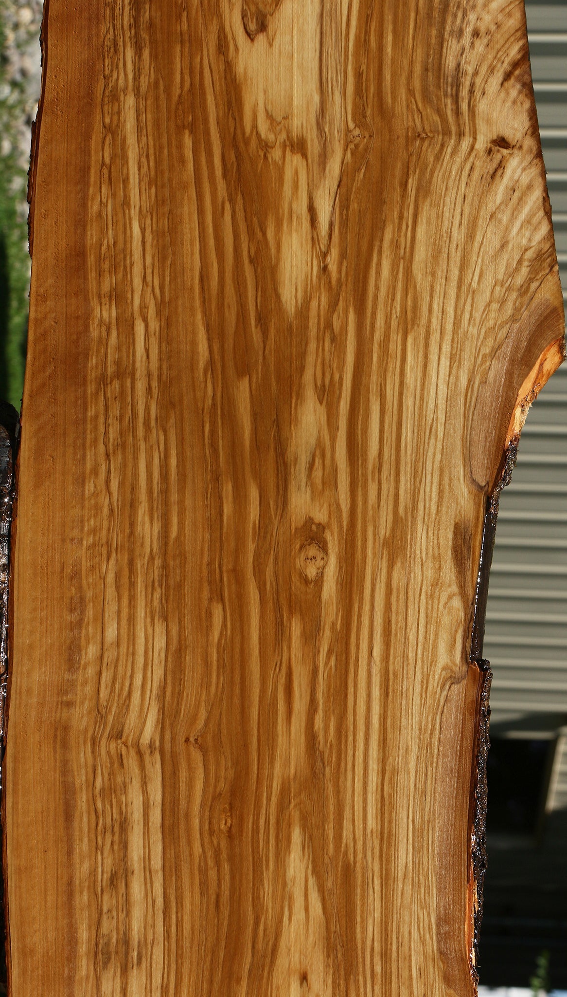 Extra Fancy Italian Olive Live Edge Lumber