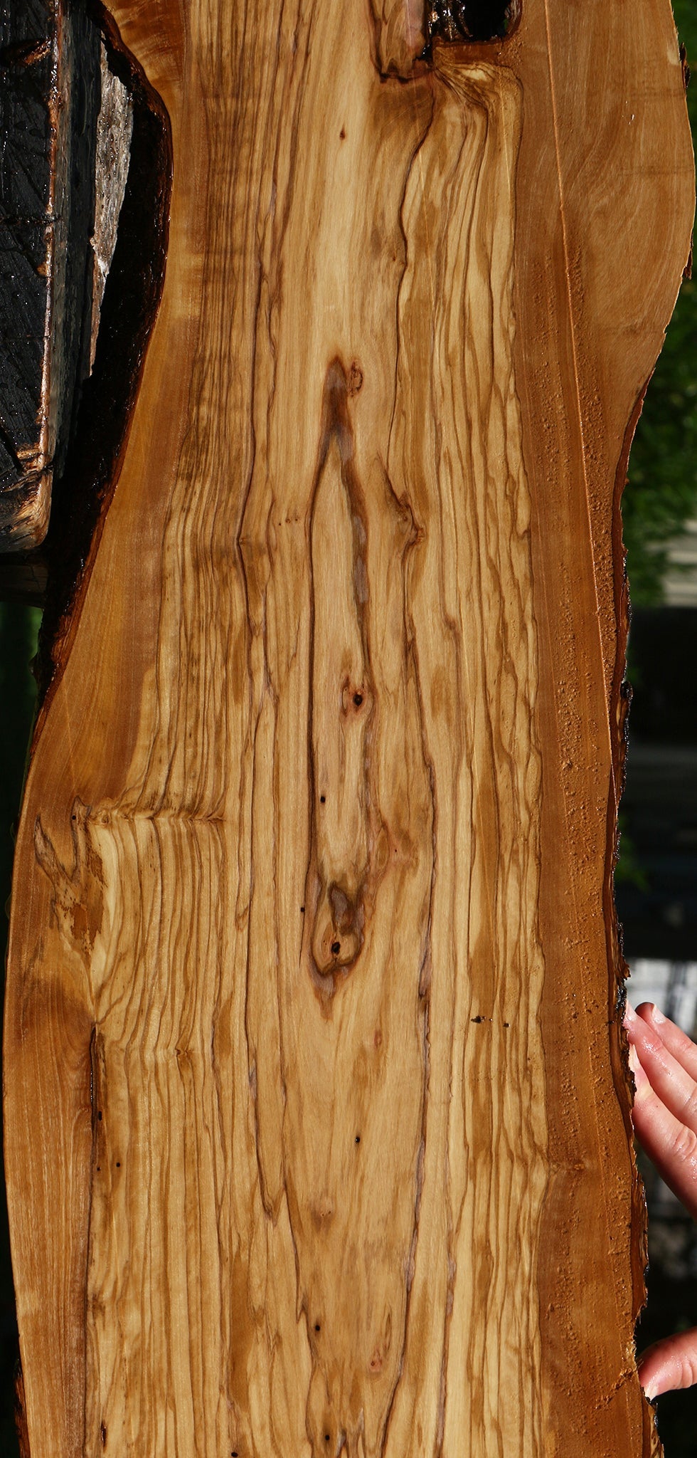 Figured Italian Olive Live Edge Lumber