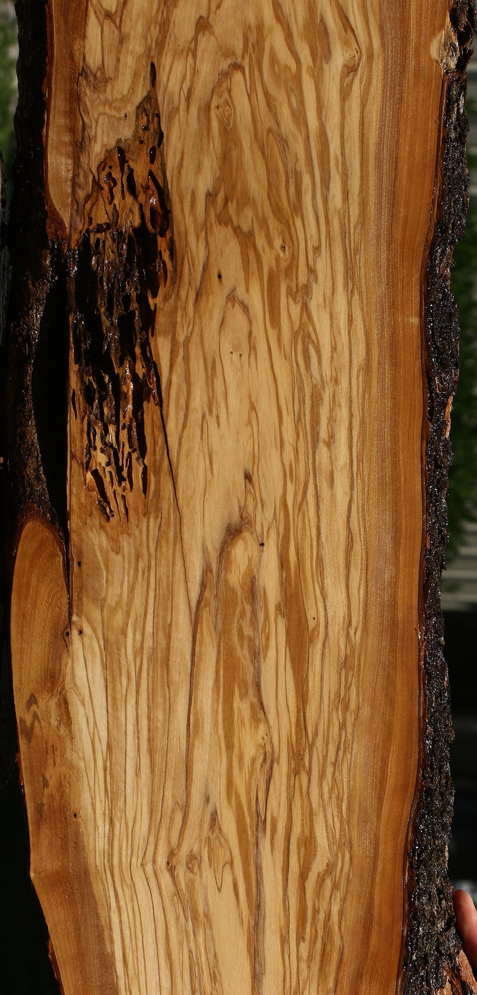 Figured Italian Olive Live Edge Lumber