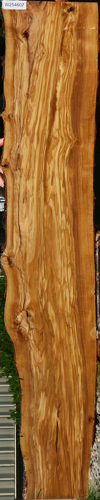 Figured Italian Olive Live Edge Lumber