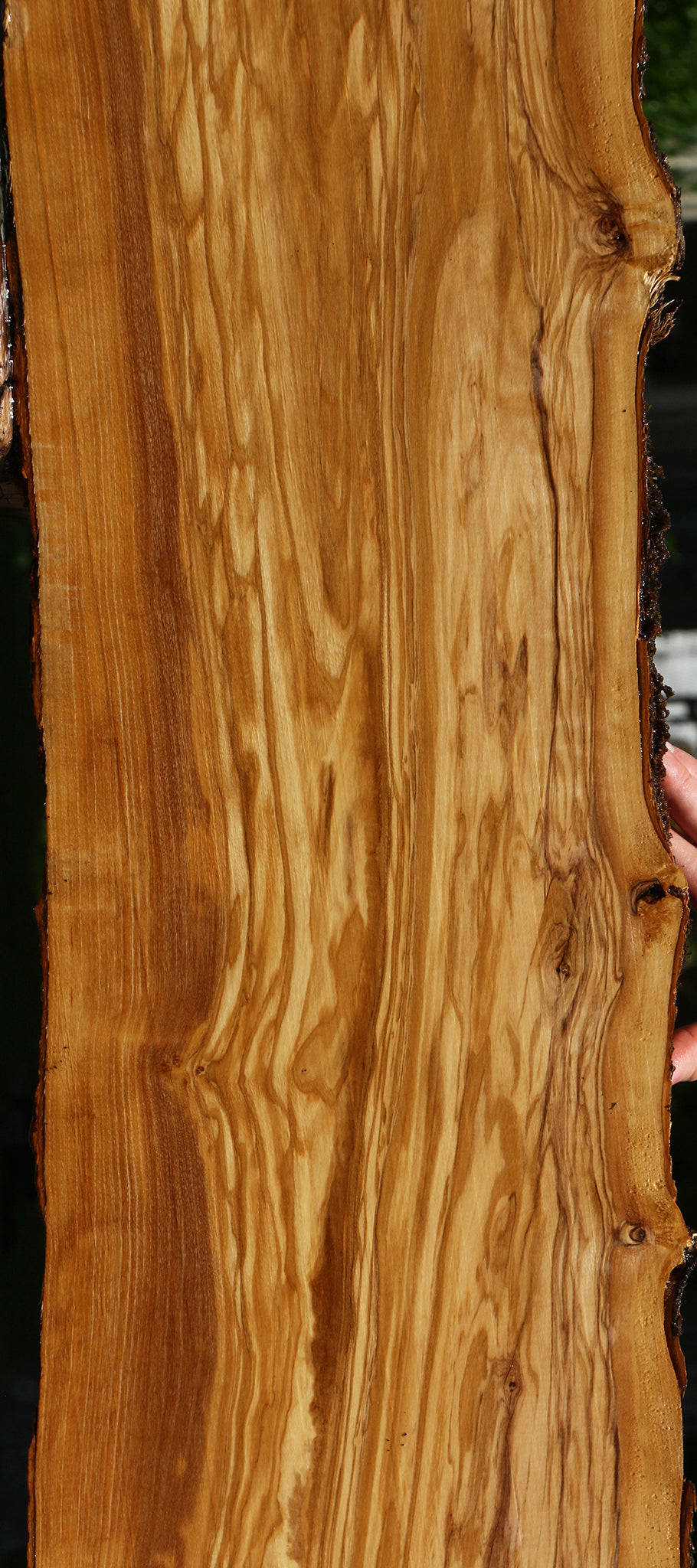 Figured Italian Olive Live Edge Lumber