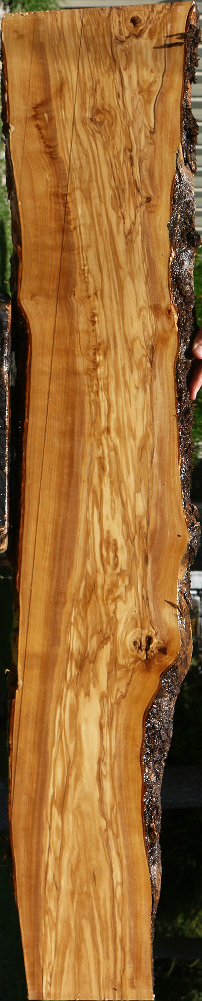 Figured Italian Olive Live Edge Lumber