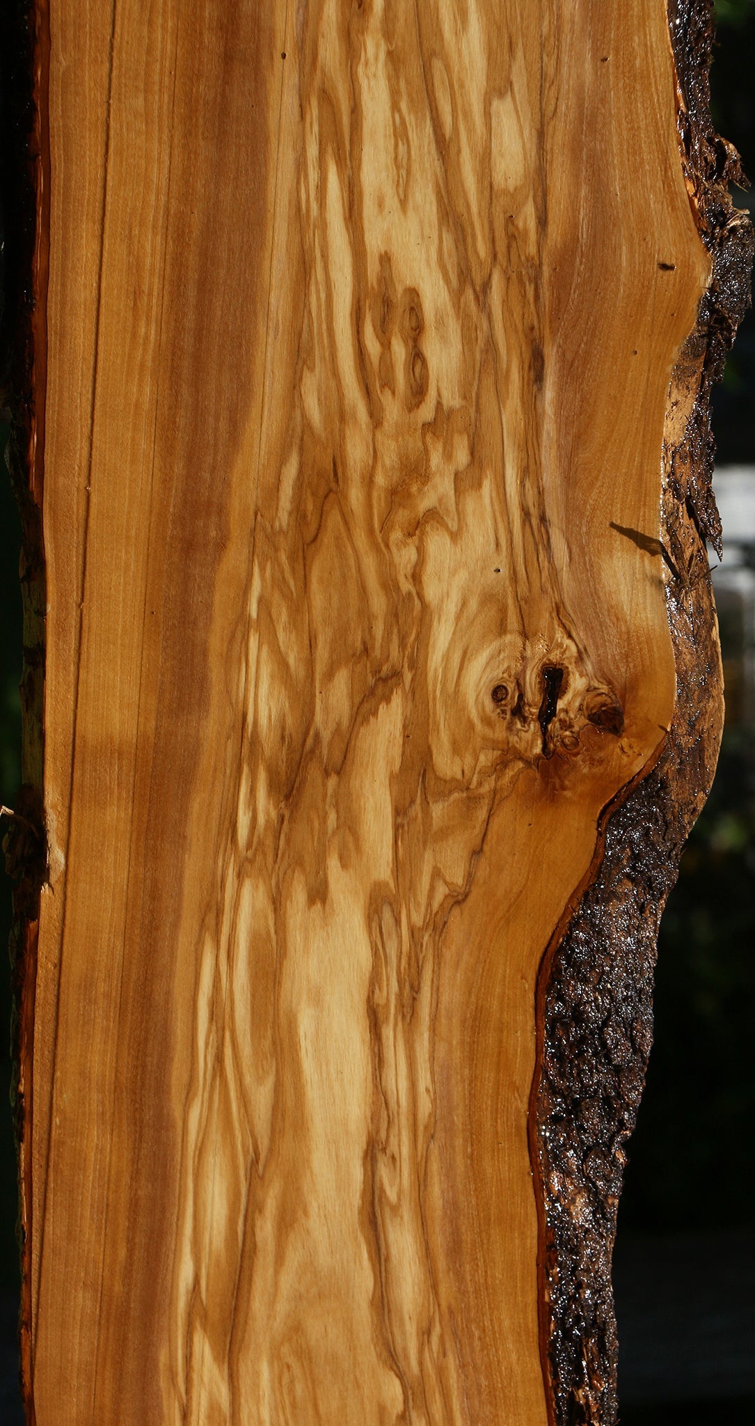 Figured Italian Olive Live Edge Lumber – Cook Woods