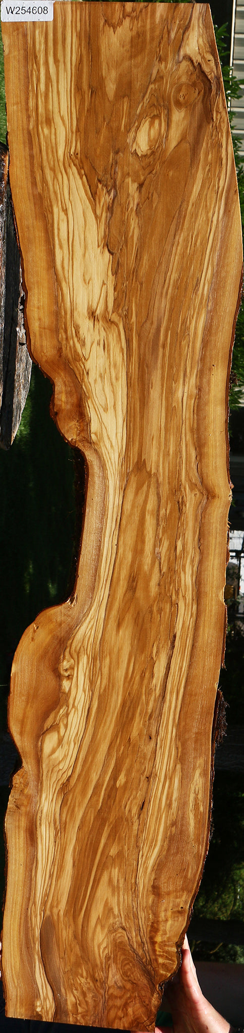 Figured Italian Olive Live Edge Lumber