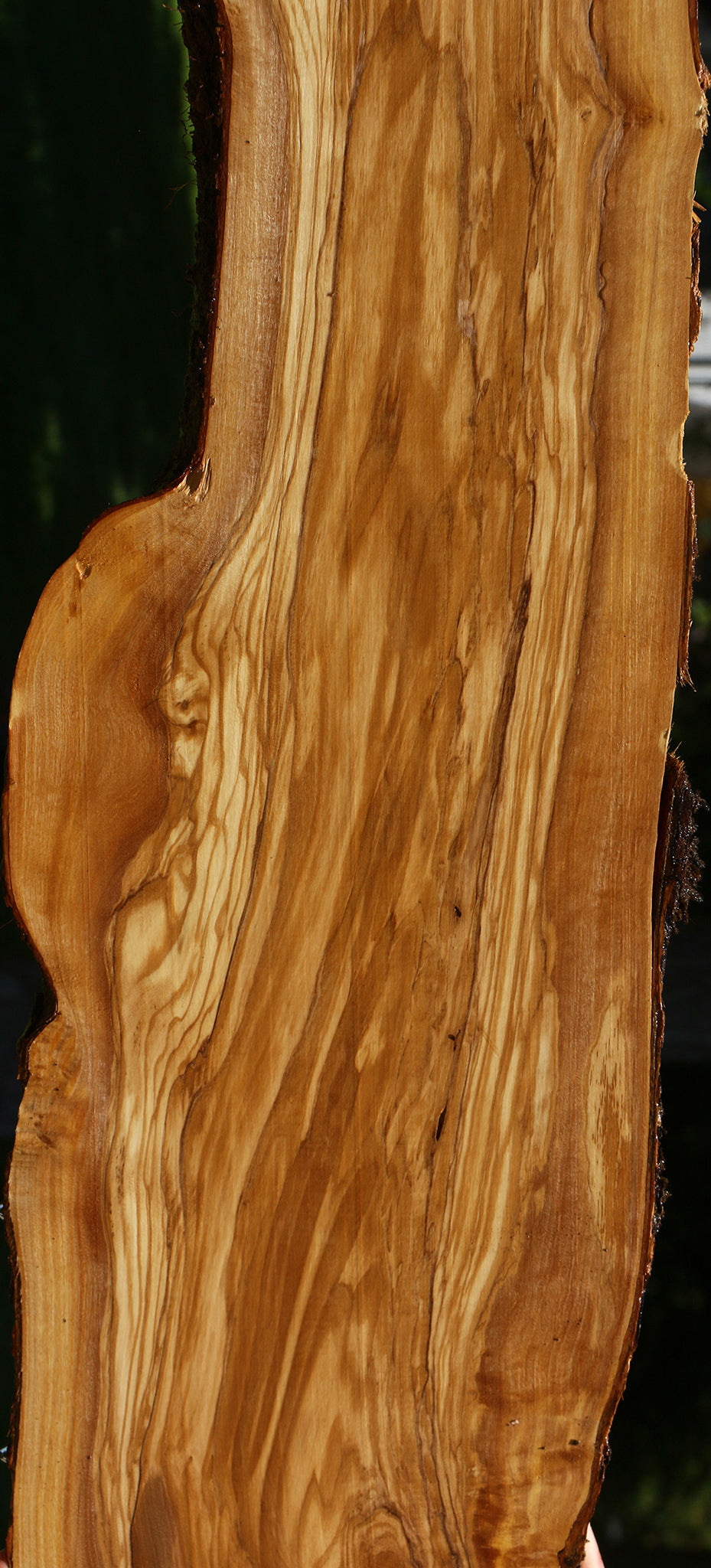 Figured Italian Olive Live Edge Lumber