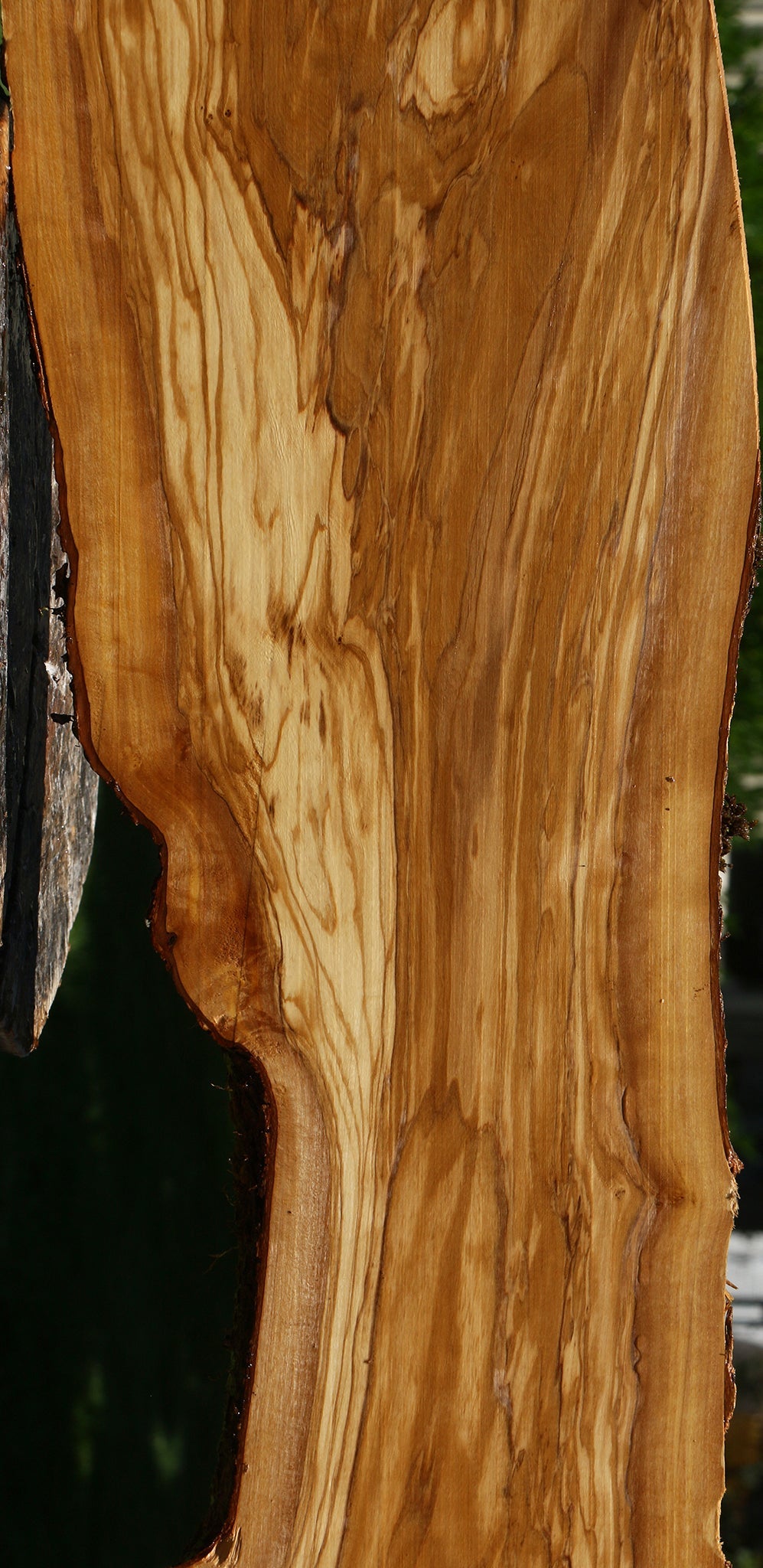 Figured Italian Olive Live Edge Lumber