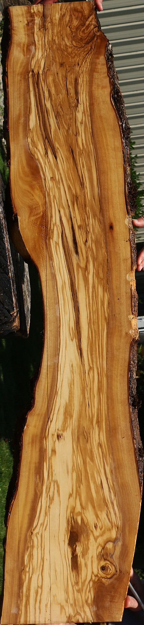 Figured Italian Olive Live Edge Lumber