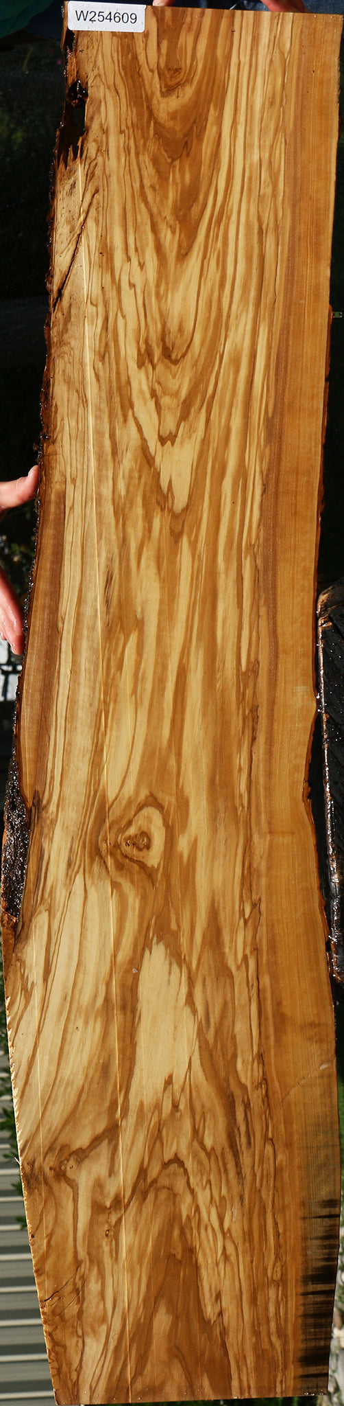 Figured Italian Olive Live Edge Lumber