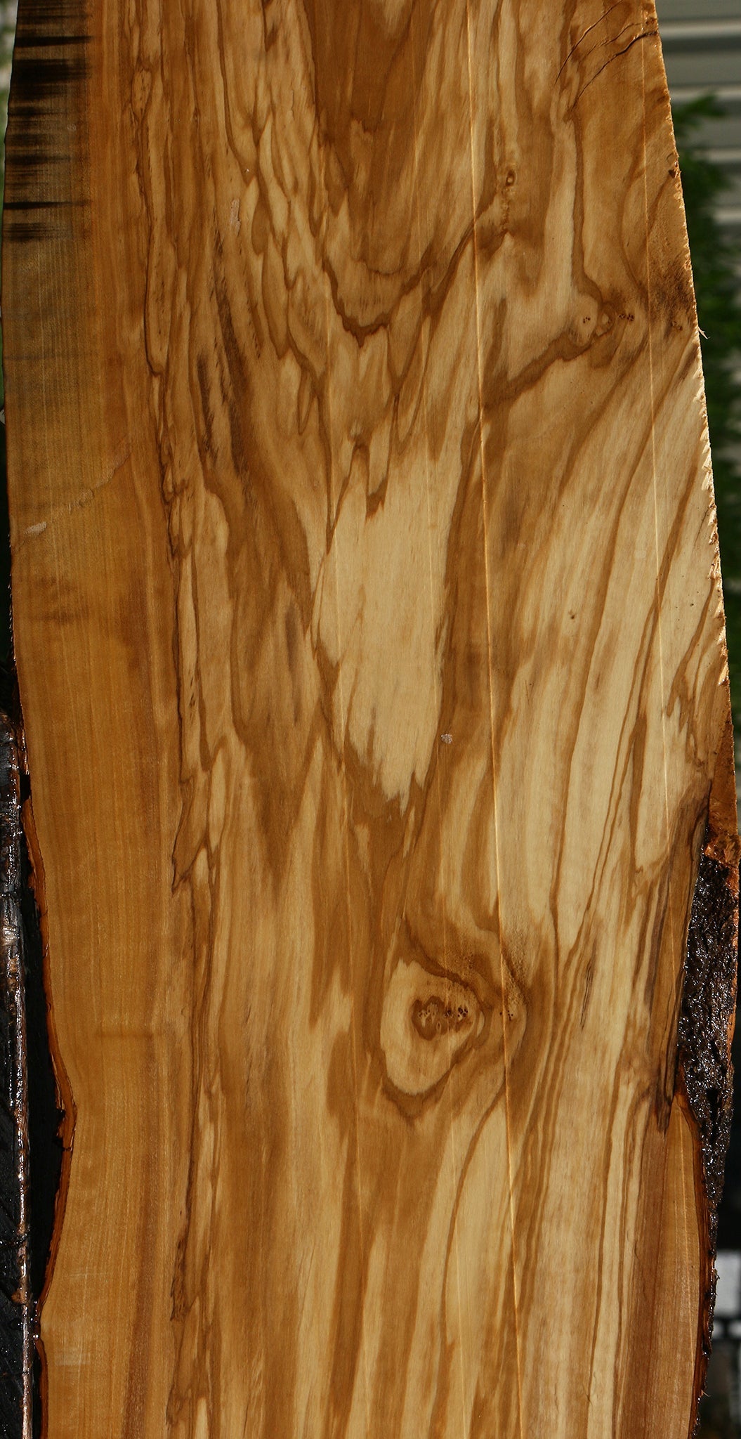 Figured Italian Olive Live Edge Lumber