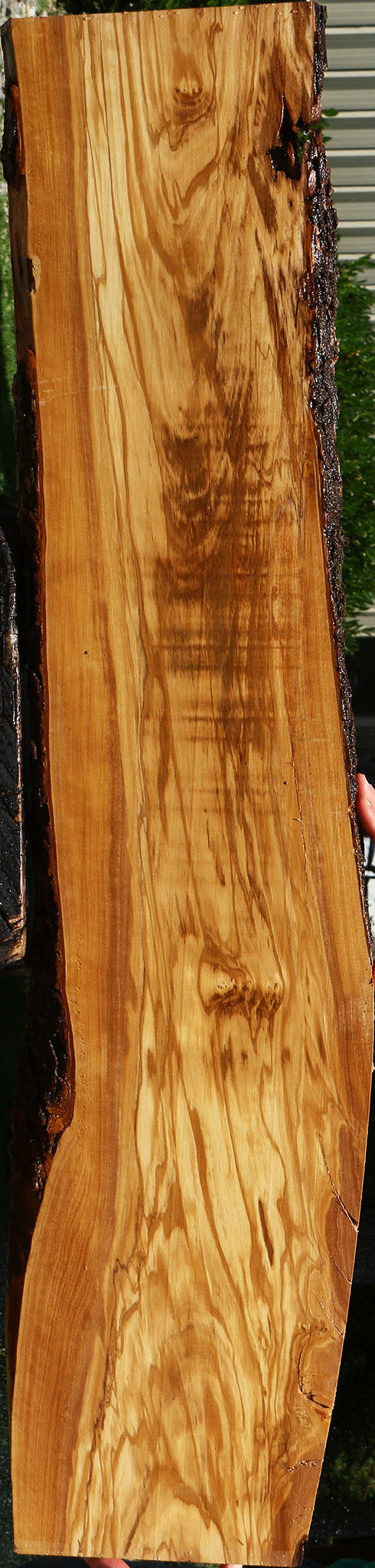 Figured Italian Olive Live Edge Lumber